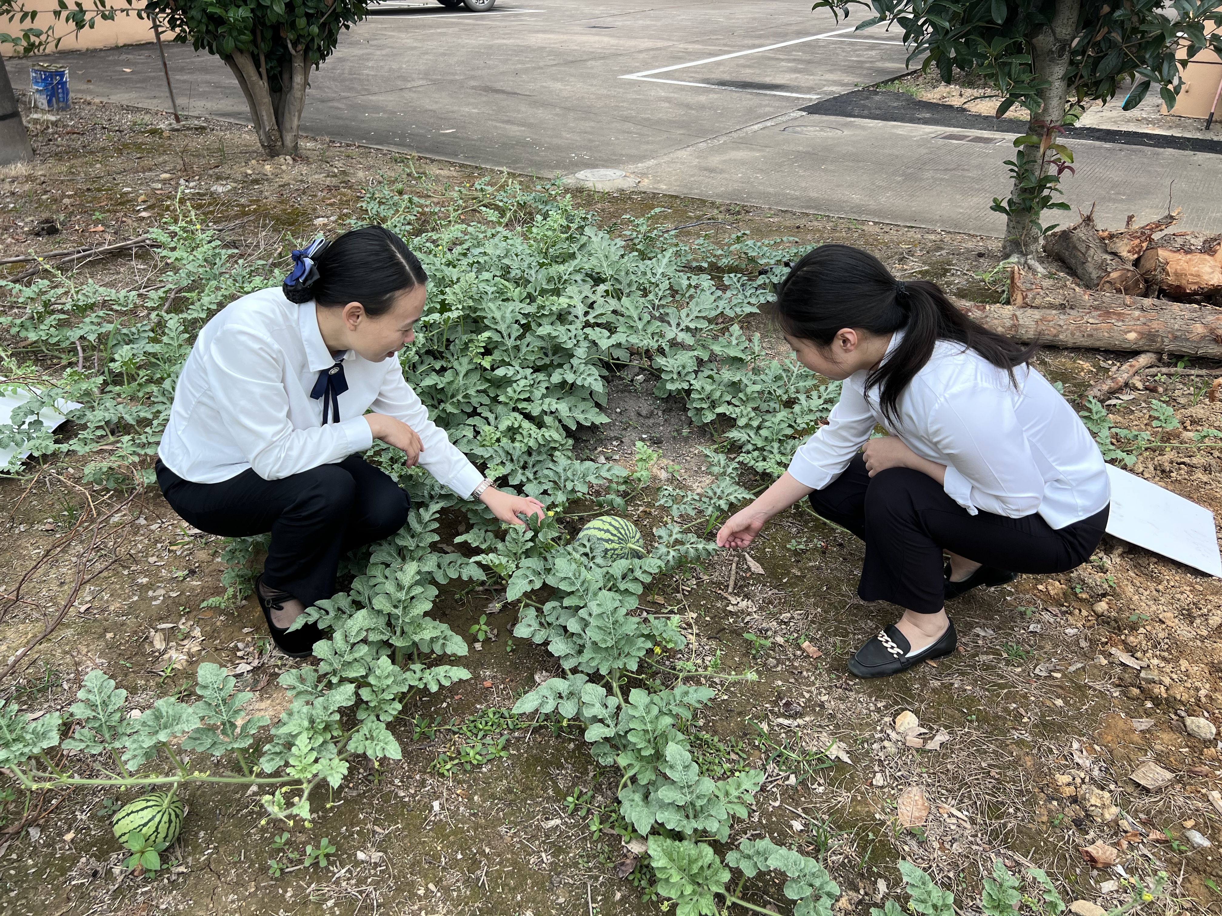 1686250827361877.jpg 1.jpg