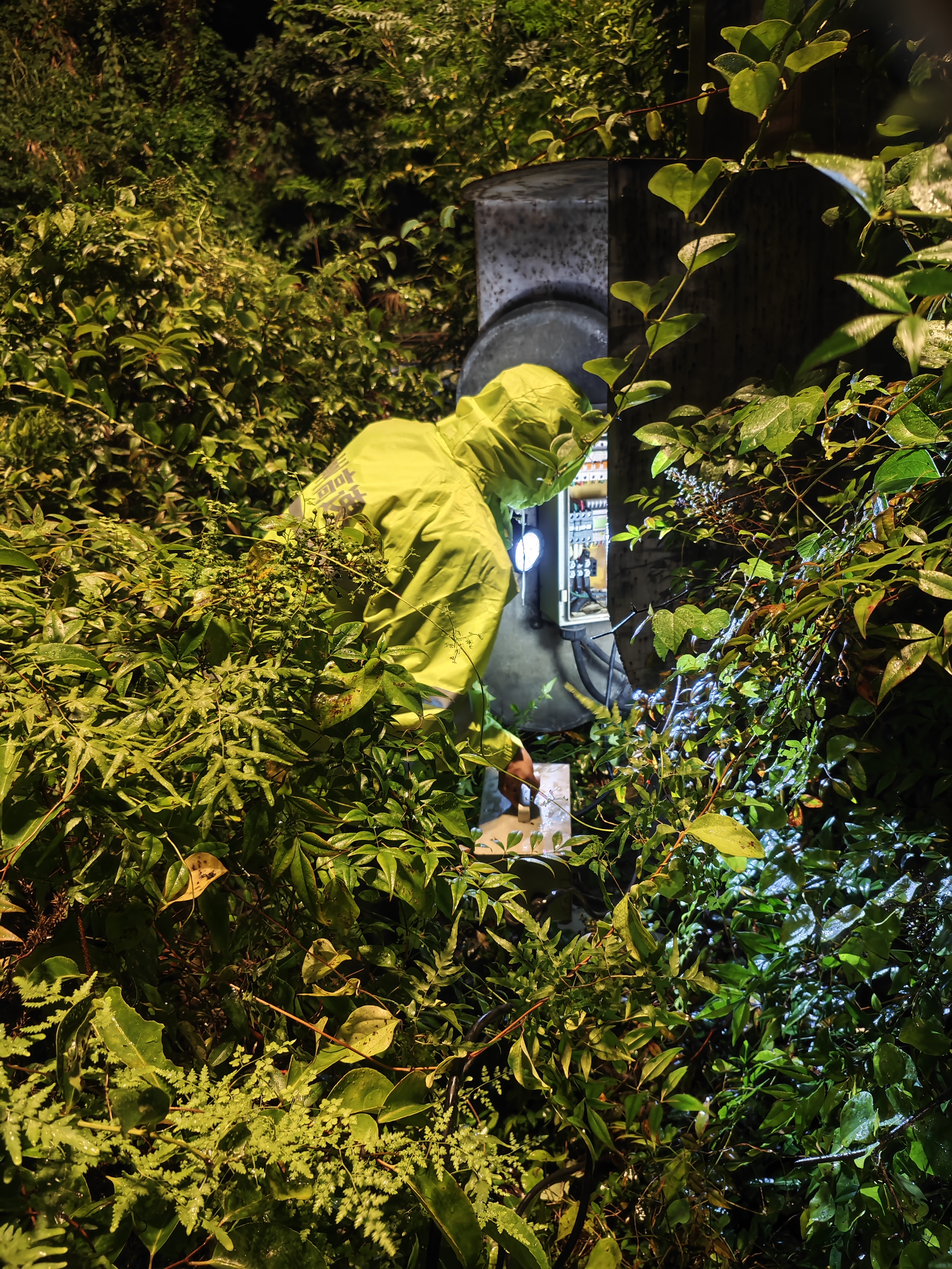 1721955808570982.jpg 2.jpg